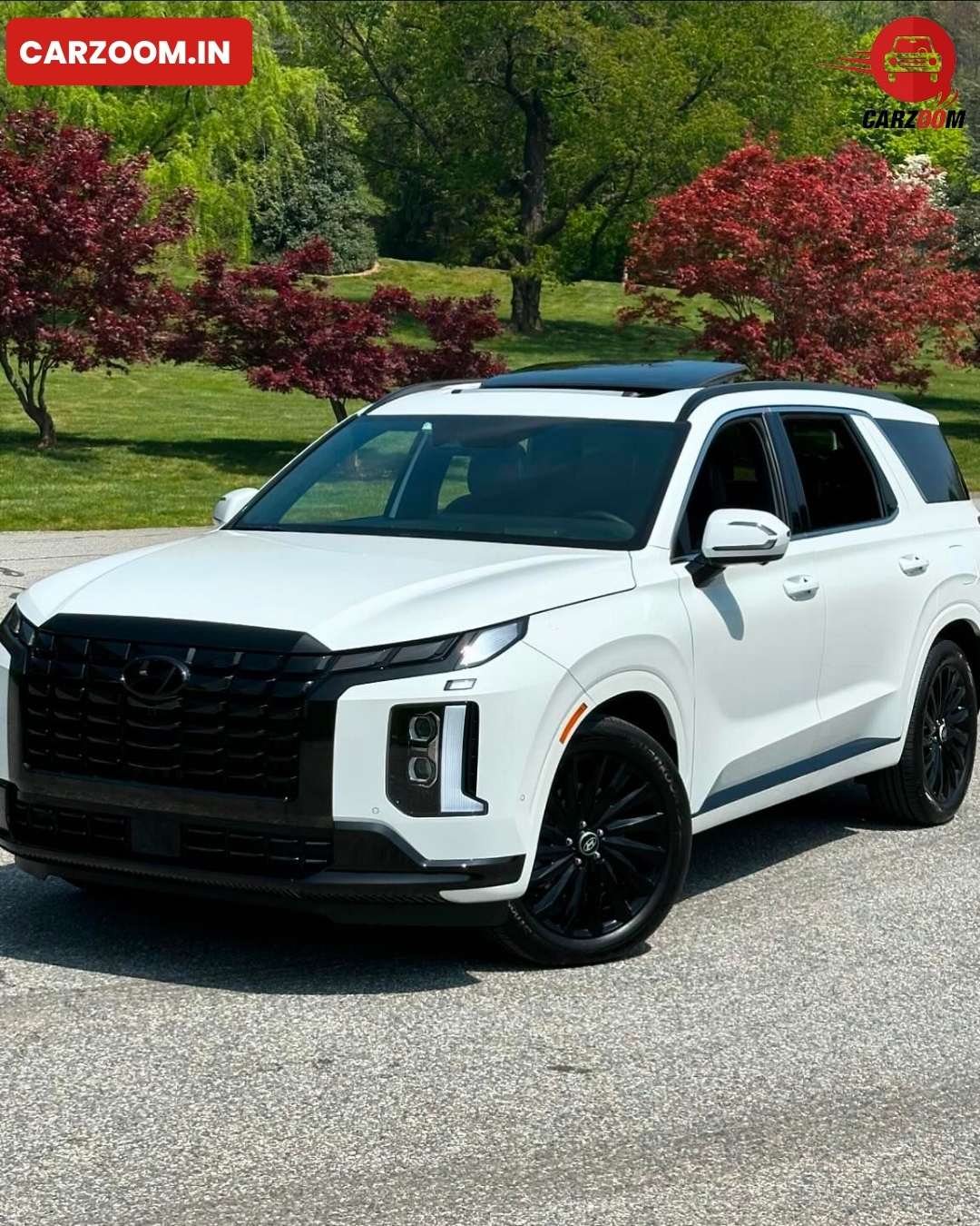 Hyundai-Palisade