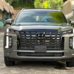 Hyundai Palisade (3)