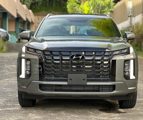 Hyundai Palisade 3